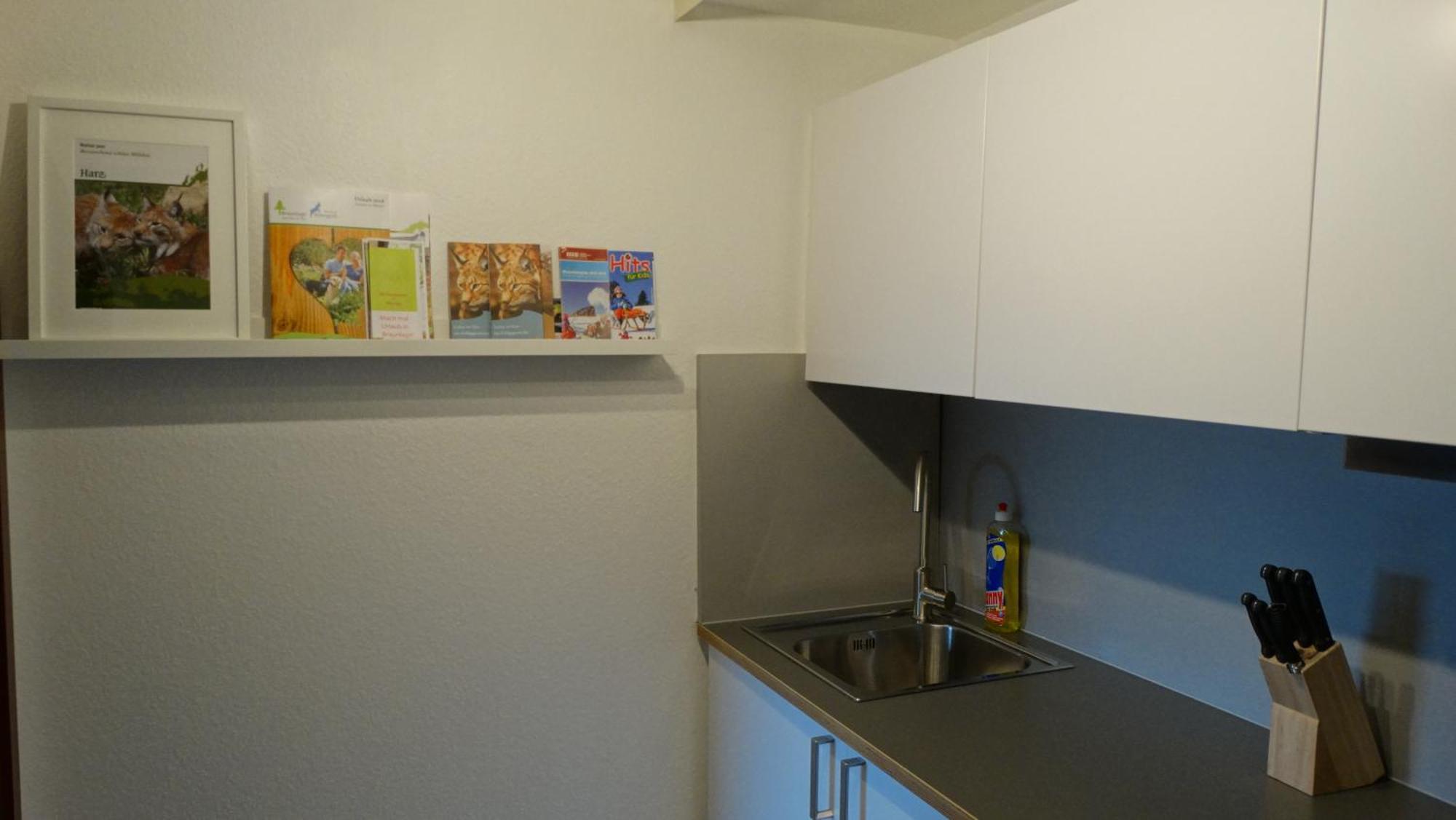 Bergziege Apartment Braunlage Ngoại thất bức ảnh