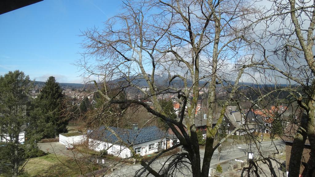 Bergziege Apartment Braunlage Ngoại thất bức ảnh