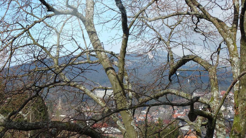 Bergziege Apartment Braunlage Ngoại thất bức ảnh